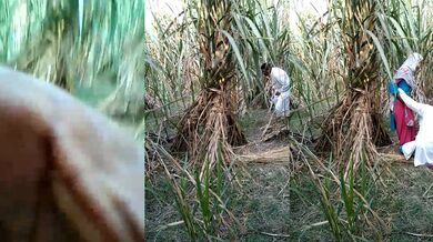 Muslim uncle fucked young labor girl in farm