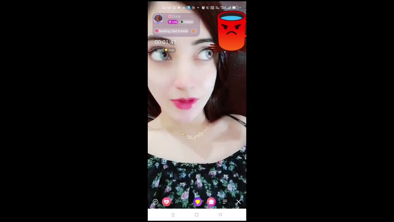 enna Chamet collection